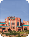 Sharda University Online
