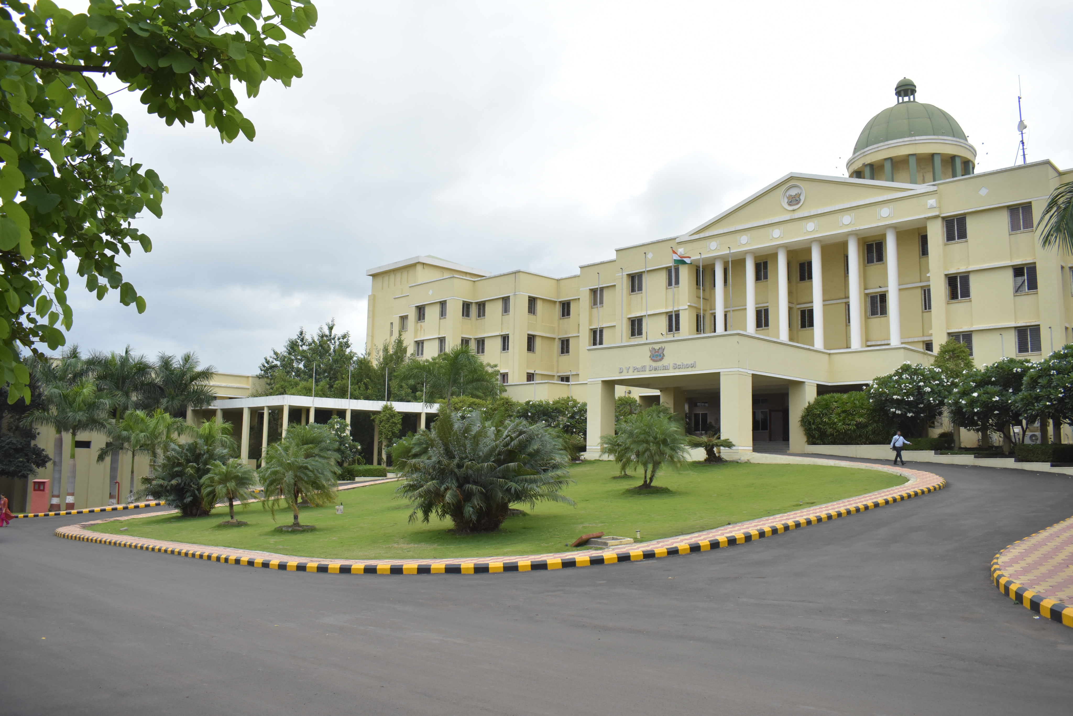 Online DY Patil University