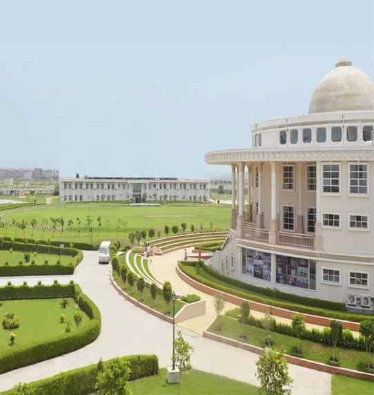 Noida International University